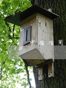 中信信用卡六万逾期3个月了 中信信用卡六万逾期3个月了