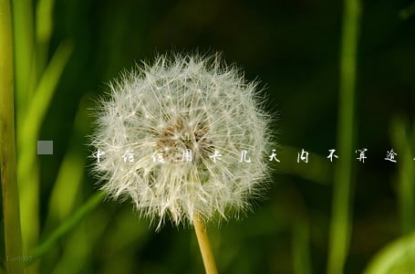 中信信用卡几天内不算逾期 中信信用卡几天内不算逾期