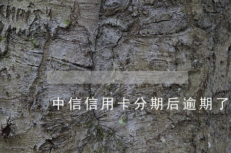 中信信用卡分期后逾期了3天 中信信用卡分期后逾期了3天