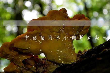 中信信用卡分期算逾期吗 中信信用卡分期算逾期吗