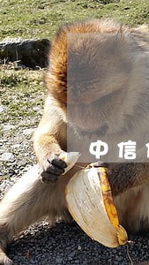 中信信用卡卡逾期会上门吗 中信信用卡卡逾期会上门吗