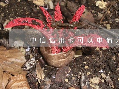 中信信用卡可以申请只还本金吗