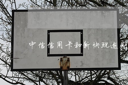 中信信用卡和新快现逾期了