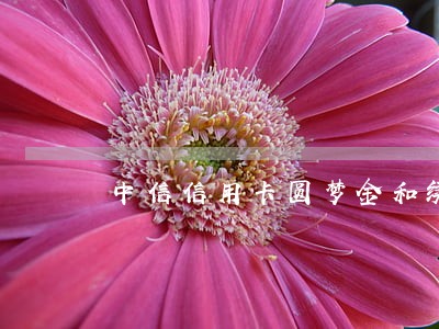 中信信用卡圆梦金和续金宝逾期了 中信信用卡圆梦金和续金宝逾期了
