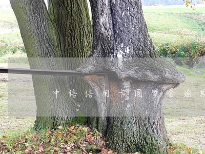 中信信用卡圆梦金逾期公安立案 中信信用卡圆梦金逾期公安立案