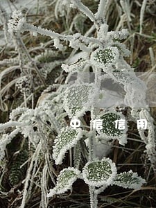 中信信用卡圆梦金逾期半年了