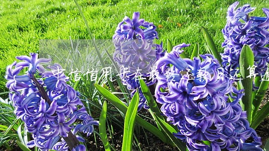 中信信用卡在最终还款日还算逾期