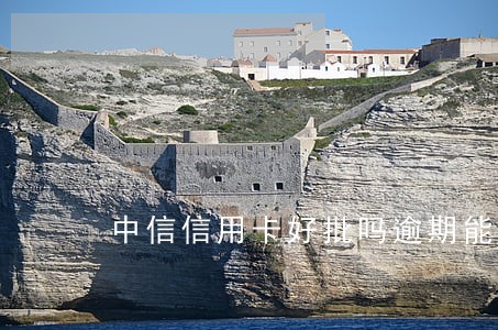 中信信用卡好批吗逾期能办吗 中信信用卡好批吗逾期能办吗