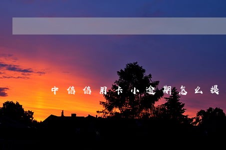 中信信用卡小逾期怎么提额