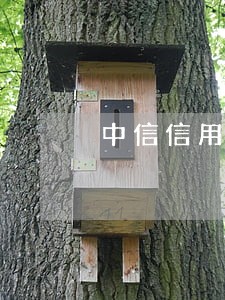 中信信用卡已经逾期三个月了 中信信用卡已经逾期三个月了