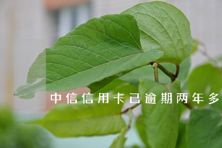 中信信用卡已逾期两年多怎么办 中信信用卡已逾期两年多怎么办