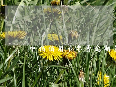 中信信用卡年费逾期怎么办 中信信用卡年费逾期怎么办