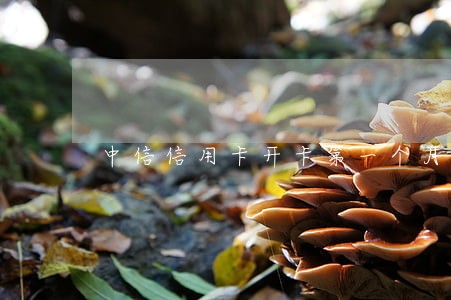 中信信用卡开卡第一个月逾期