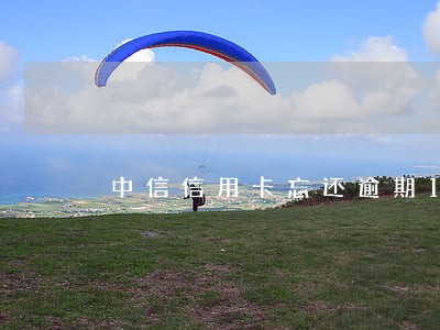 中信信用卡忘还逾期15天 中信信用卡忘还逾期15天
