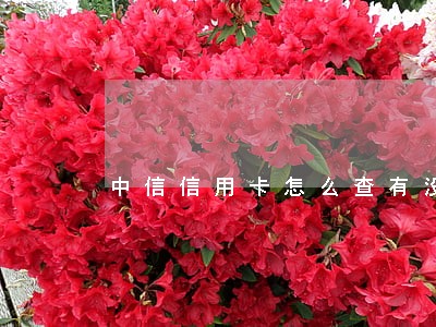 中信信用卡怎么查有没有过逾期