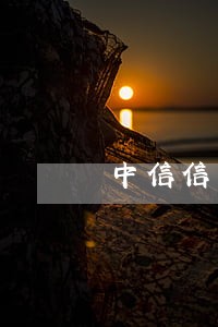 中信信用卡恶意逃避逾期会怎么办 中信信用卡恶意逃避逾期会怎么办