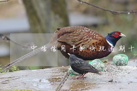 中信信用卡新快现逾期十几万 中信信用卡新快现逾期十几万