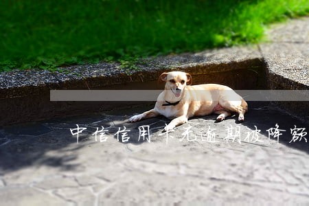 中信信用卡无逾期被降额 中信信用卡无逾期被降额