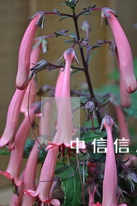 中信信用卡晚了三天还算逾期吗 中信信用卡晚了三天还算逾期吗