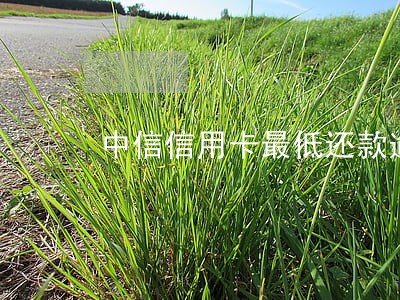 中信信用卡最低还款逾期 中信信用卡最低还款逾期