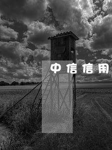 中信信用卡有过逾期怎么提额 中信信用卡有过逾期怎么提额