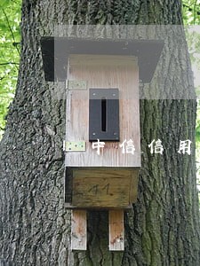 中信信用卡有逾期怎么协商 中信信用卡有逾期怎么协商