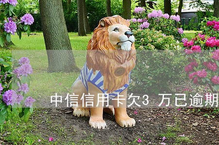 中信信用卡欠3万已逾期 中信信用卡欠3万已逾期