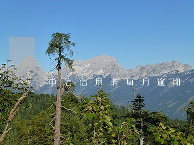 中信信用卡每月逾期 中信信用卡每月逾期