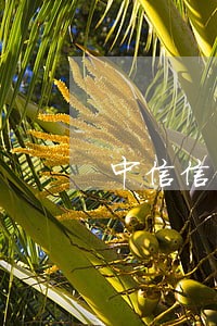 中信信用卡没逾期为什么封卡 中信信用卡没逾期为什么封卡