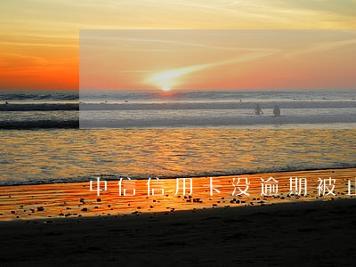 中信信用卡没逾期被止付 中信信用卡没逾期被止付