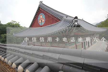 中信信用卡电话逾期六个月了