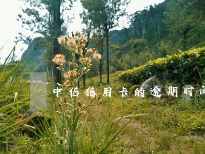 中信信用卡的逾期时间 中信信用卡的逾期时间