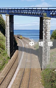 中信信用卡的逾期费率