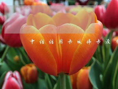 中信信用卡被停卡没有逾期 中信信用卡被停卡没有逾期
