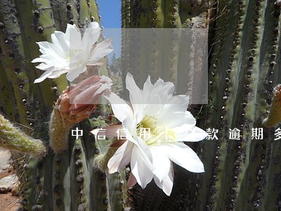 中信信用卡贷款逾期多久上征信 中信信用卡贷款逾期多久上征信