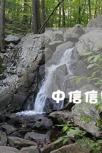 中信信用卡还款几点逾期
