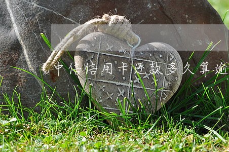 中信信用卡还款多久算逾期 中信信用卡还款多久算逾期