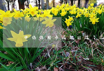 中信信用卡还款日过了几天算逾期