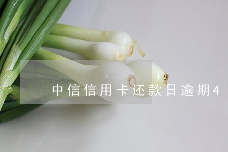 中信信用卡还款日逾期4天 中信信用卡还款日逾期4天