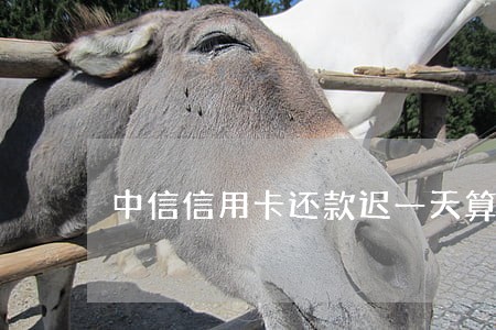 中信信用卡还款迟一天算逾期吗 中信信用卡还款迟一天算逾期吗
