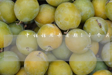 中信信用卡逾期10个月 中信信用卡逾期10个月