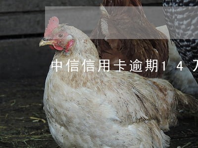 中信信用卡逾期14万 中信信用卡逾期14万