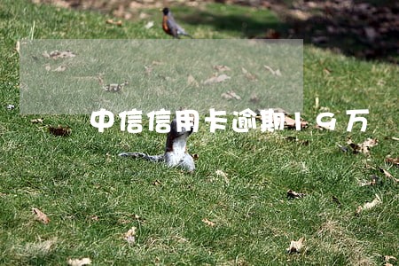 中信信用卡逾期19万 中信信用卡逾期19万