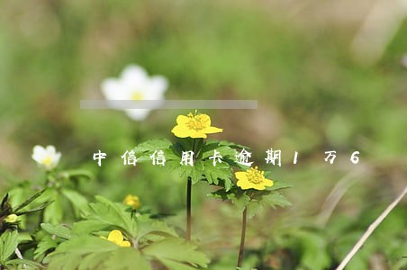 中信信用卡逾期1万6 中信信用卡逾期1万6