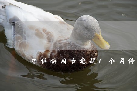 中信信用卡逾期1个月停卡 中信信用卡逾期1个月停卡
