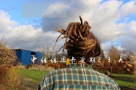 中信信用卡逾期23天