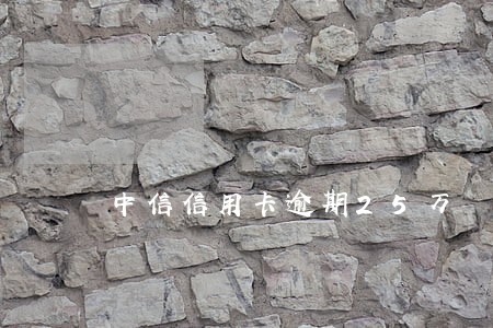 中信信用卡逾期25万