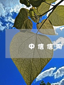 中信信用卡逾期2个月 中信信用卡逾期2个月