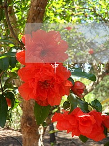 中信信用卡逾期2天会影响征信么 中信信用卡逾期2天会影响征信么