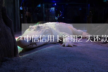 中信信用卡逾期2天还款会怎么样